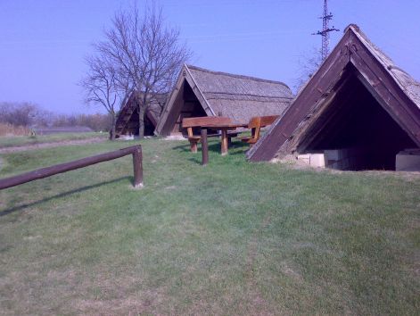 20081014222.jpg 20081014222.jpg